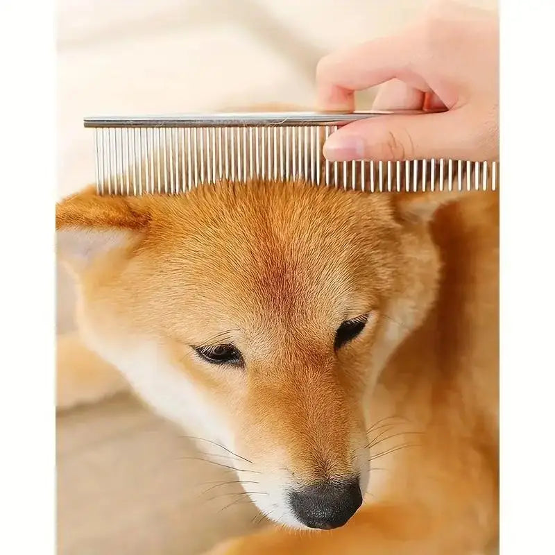 Pet Safe Scissors – Tesoura Segura e de Precisão para Grooming de Cães