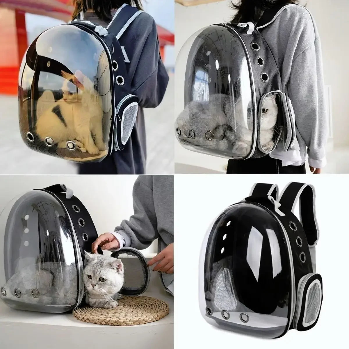Mochila Transparente PanoramaPet™