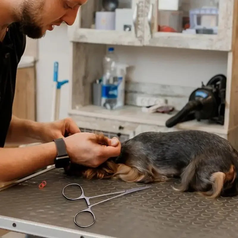 Tesoura Profissional de Tosa Curva – Precisão e Segurança para o seu Pet