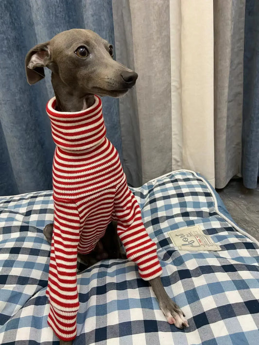 Sweater Listrado Vermelho para Galgo Italiano & Whippet – Estilo e Conforto no Inverno