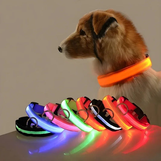 Coleira LED de Nylon para Cães – Segurança, Visibilidade e Estilo à Noite!