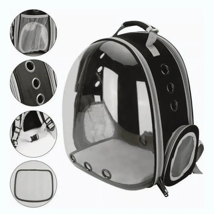 Mochila Transparente PanoramaPet™